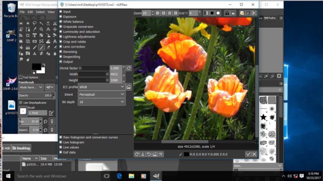 gimp 2.10 plugins download free